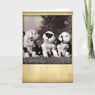 Greeting Card Stil Englische Schäferhunde Karte