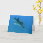 Greeting Card with Ocean Eagle Rays Maui Karte (Gelbe Blume)