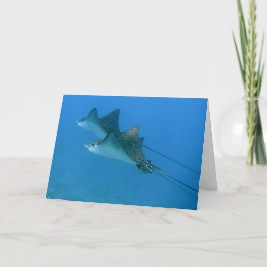Greeting Card with Ocean Eagle Rays Maui Karte (Vorderseite)