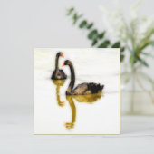Greeting Card with two black swans on water Karte (Stehend Vorderseite)