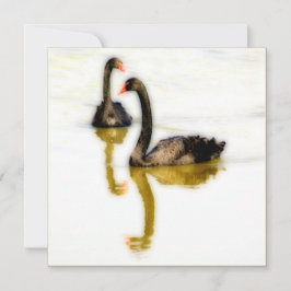 Greeting Card with two black swans on water Karte