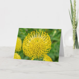 Greeting Card - Yellow Protea at Kirstenbosch Karte