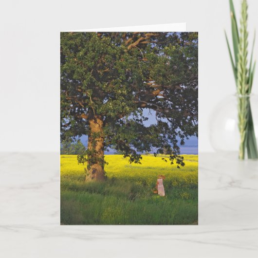 GREETING CARDS   NORTH HERO VERMONT KARTE (Vorderseite)