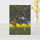 GREETING CARDS   NORTH HERO VERMONT KARTE (Gelbe Blume)