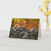 GREETING CARDS   STONE WALL KARTE (Gelbe Blume)