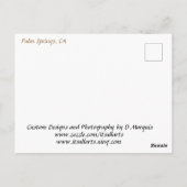 GREETINGS AUS DER DESERT #1 POSTCARD POSTKARTE (Rückseite)