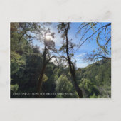 GREETINGS AUS DER WILDERNESS WELT! POSTKARTE (Vorderseite)