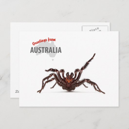 Greetings From Australia - Funnel-Web Spider Postkarte (Vorne/Hinten)