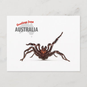 Greetings From Australia - Funnel-Web Spider Postkarte