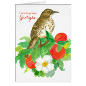 Greetings from Georgia Brown Thrasher Blank (Vorne)