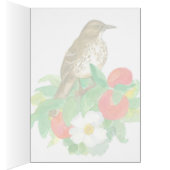 Greetings from Georgia Brown Thrasher Blank (Innen (Rechts))