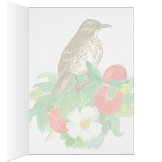 Greetings from Georgia Brown Thrasher Blank (Innen (Rechts))