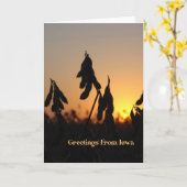 Greetings From Iowa Karte (Gelbe Blume)