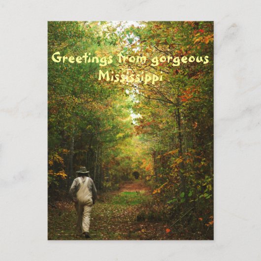Greetings from Mississippi Postkarte (Vorderseite)