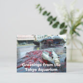 Greetings from the Tokyo Aquarium Postkarte (Stehend Vorderseite)