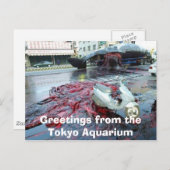 Greetings from the Tokyo Aquarium Postkarte (Vorne/Hinten)