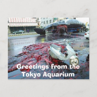 Greetings from the Tokyo Aquarium Postkarte