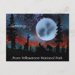 Greetings......From Yellowstone National Park Postkarte