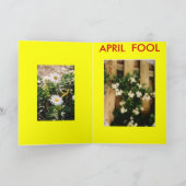 GREETINGS VON DER DUNKSEITE KARTE (Innenseite)