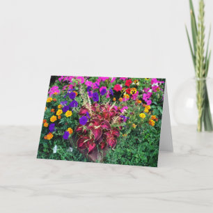 GREETKARTE: Gemischte Blume im Garten_ Karte