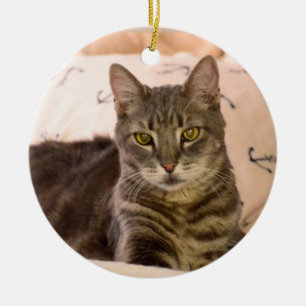 Gregtabbykatze Weihnachtsverzierung Keramik Ornament