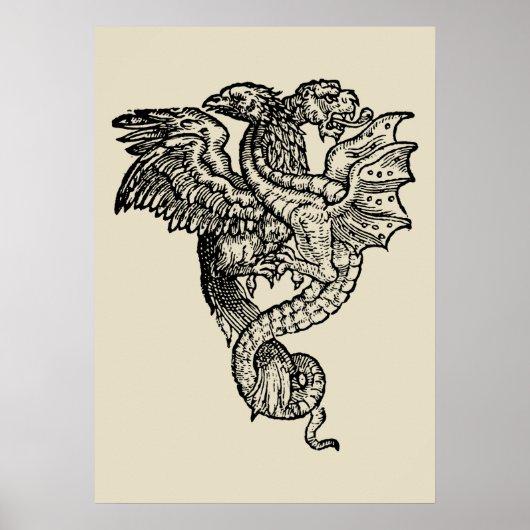 Greif & Drache Poster (Vorne)