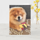 GREIF heARTdog Chow-Chow Karte (Gelbe Blume)