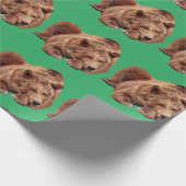 GREIFENDES BÄRCHENPAPIER, DAS SICH AUF DIE KREUZUN GESCHENKPAPIER (Ecke)