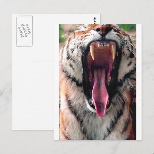 Greiftiger 2 postkarte (Vorne/Hinten)