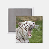 Greiftiger Magnet (Vorderseite/Rückseite)