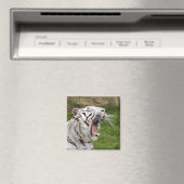 Greiftiger Magnet (In Situ (Geschirrspüler))