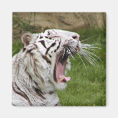 Greiftiger Magnet (Vorne)