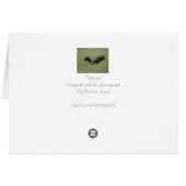 Greifvogel aus Greifkunstkarte des Fotos (Rückseite Horizontal)