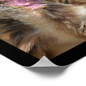 Greifvögel aus Mosaiken Poster (Ecke)