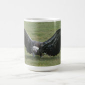 Greifvogel aus offenen Flügeln Foto wild lebender  Kaffeetasse (Mittel)