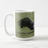 Greifvogel aus offenen Flügeln Foto wild lebender  Kaffeetasse (Links)