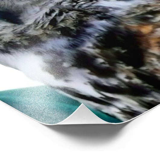 Greifvogel Fotodruck (Ecke)