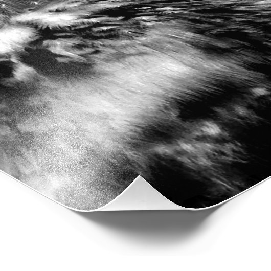 Greifvogel Fotodruck (Ecke)