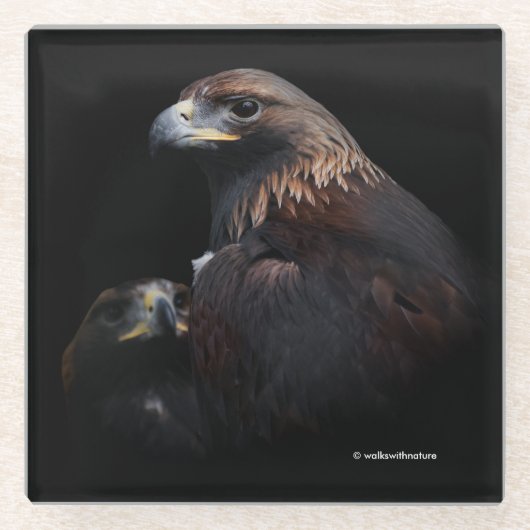 Greifvögel Glasuntersetzer (Vorderseite)