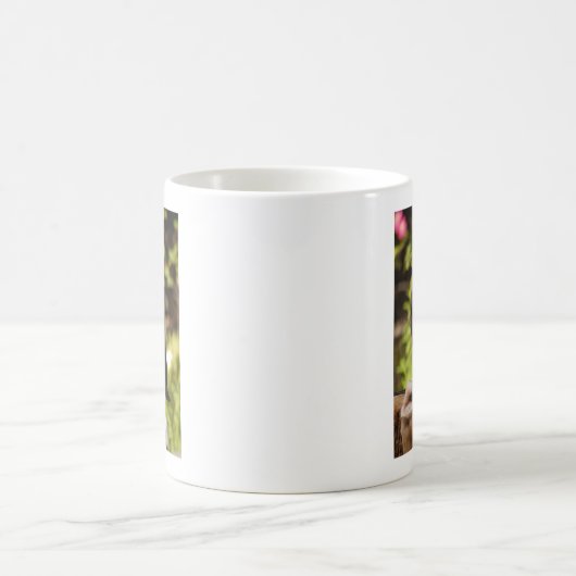 Greifvögel Kaffeetasse (Mittel)