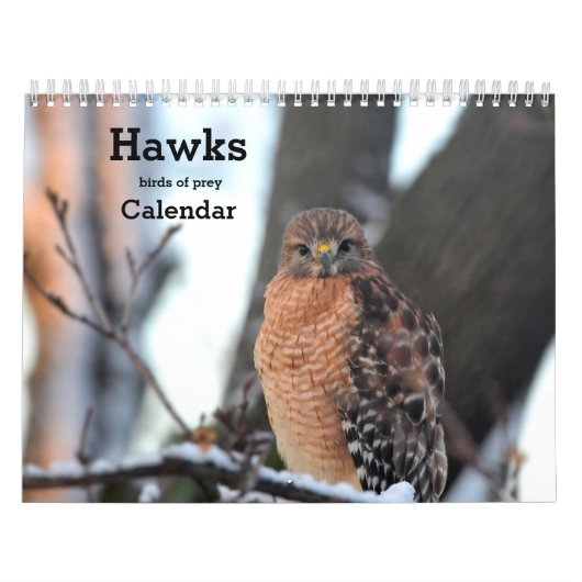 Greifvögel-Kalender Kalender (Titelbild)