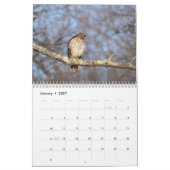 Greifvögel-Kalender Kalender (Jan 2027)