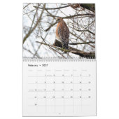 Greifvögel-Kalender Kalender (Feb 2027)