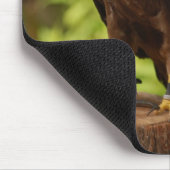 Greifvögel Mousepad (Ecke)