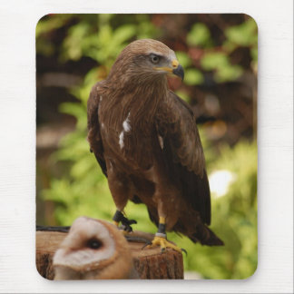 Greifvögel Mousepad