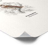 Greifvögel - Naturalist's Library Poster (Ecke)