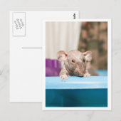 Gremlin Postkarte (Vorne/Hinten)