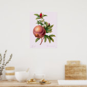Grenade (Pomegranate) von Pierre Redout Poster (Küche)