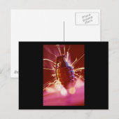 Grenade Postkarte (Vorne/Hinten)