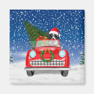 Grenz Collie Dog Auto fahren im Schnee Weihnachten Magnet